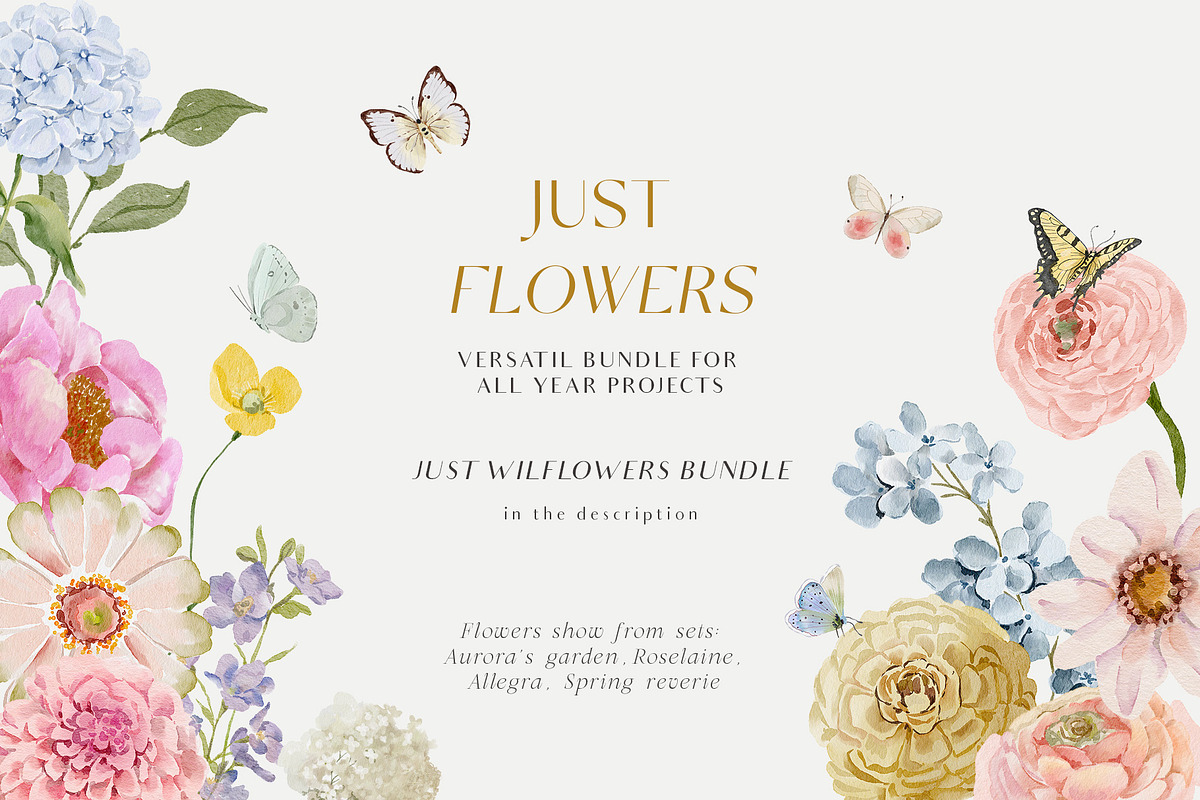 Watercolor Florals Graphics bundle, a Decorative Illustration by Grace Noboa Illustrations (Photo 2 of 20)