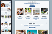 Pet Shelter - Wix Studio Website, a Wix Template by Kitteeh (Thumbnail 5 of 9)