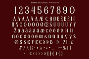 Mofela - Ligature Serif Font, a Serif Font by Font Liner (Thumbnail 13 of 13)