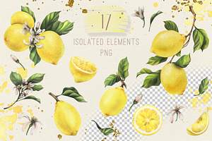 Lemons Sunny Watercolor Clipart