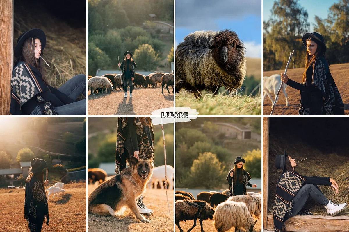 10 Sunlit Meadow Lightroom Presets, a Preset Add-On by LucaTheme (Photo 3 of 9)