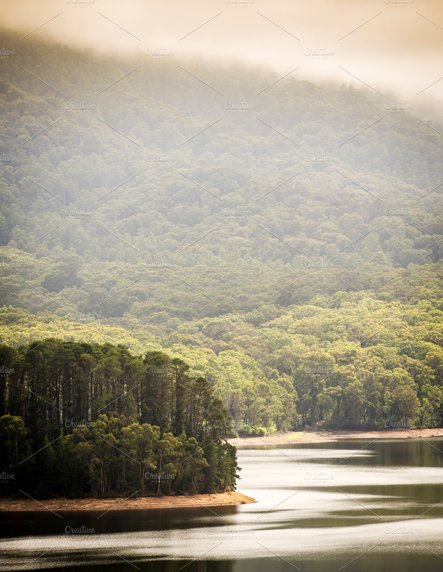 Lake Forest, a Nature Photo by THP Creative