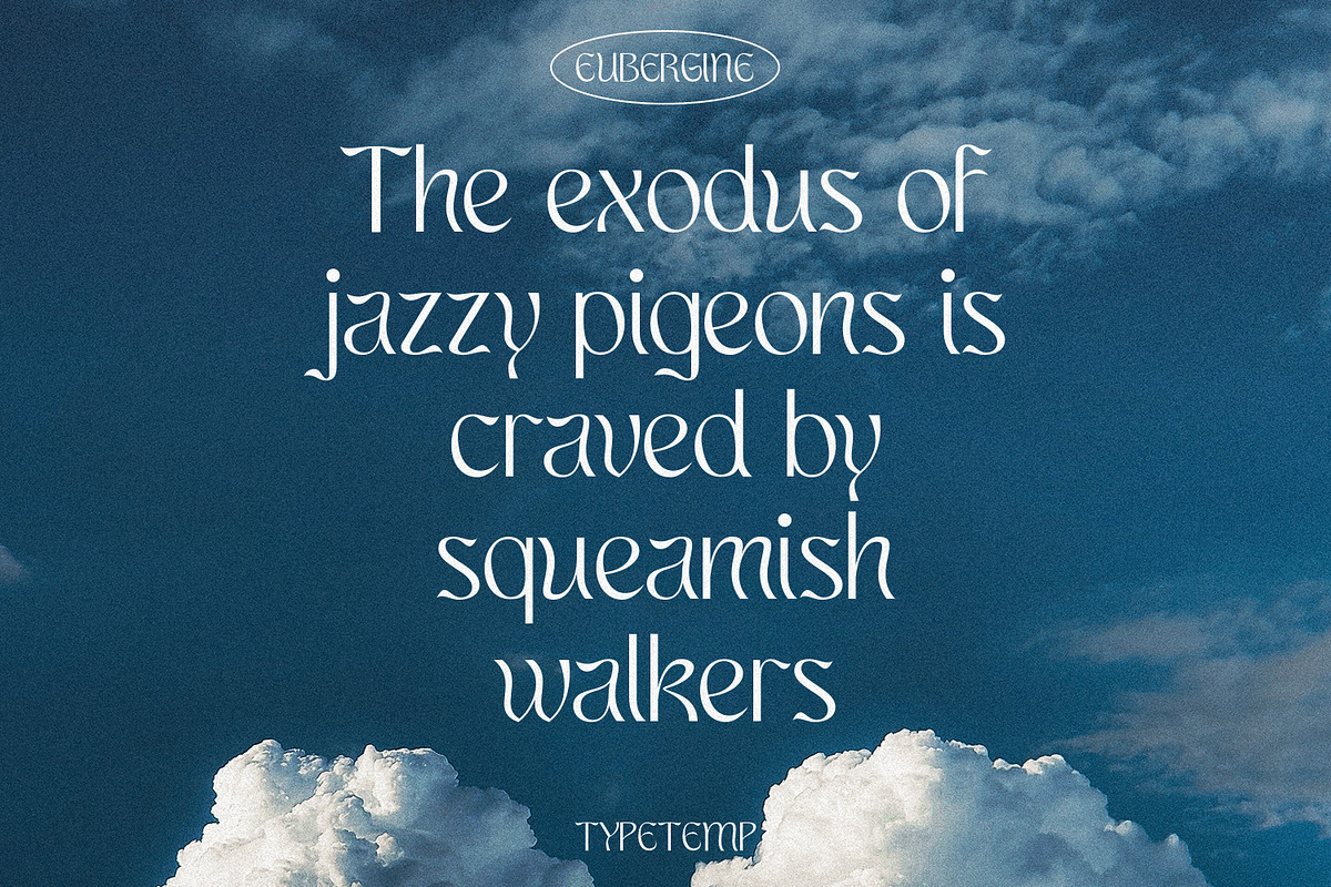 EUBERGINE - Display, a Font by Typetemp Studio (Photo 16 of 16)