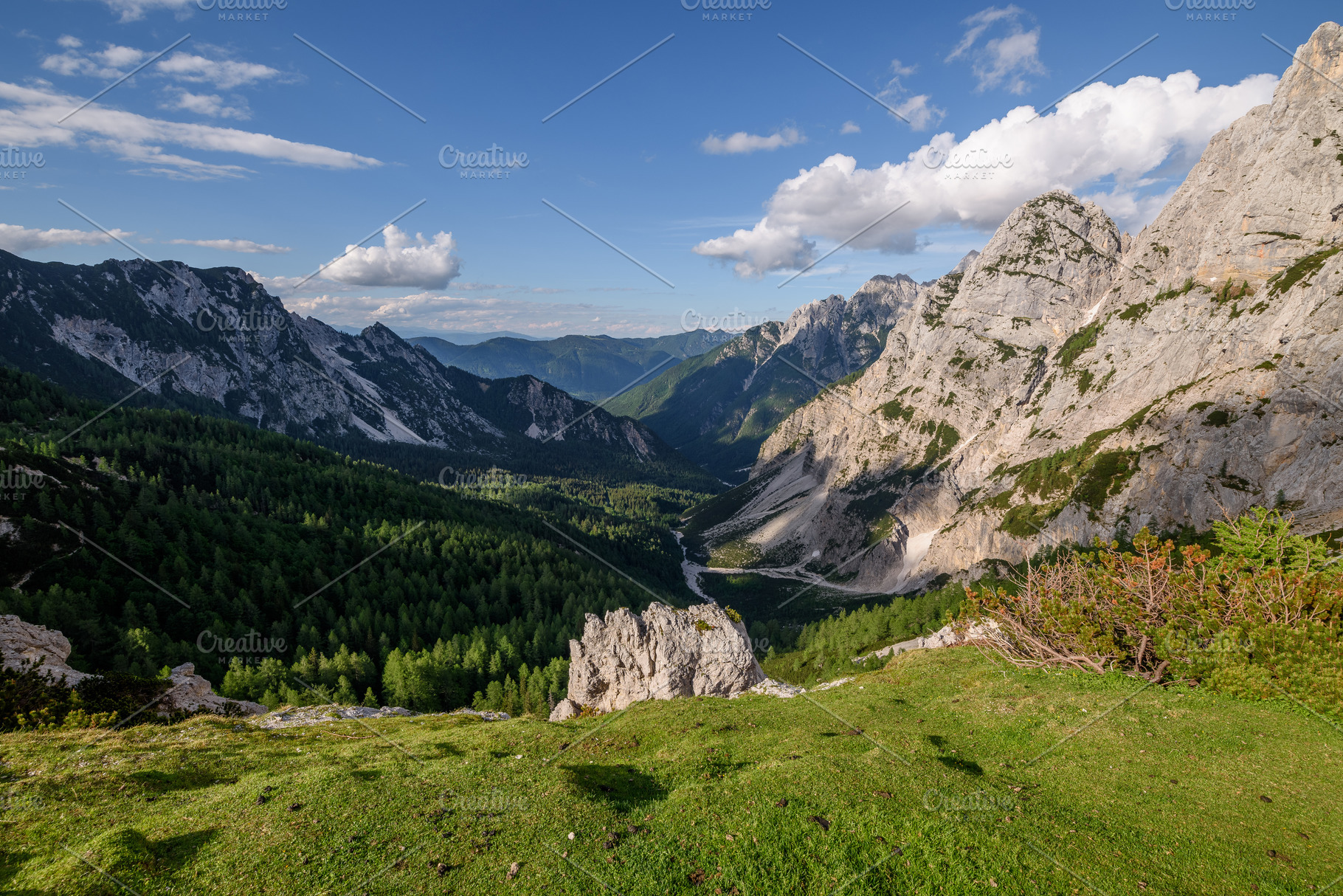 Flowers, path and trees in mountains, a Nature Photo by Dreamy Pixel