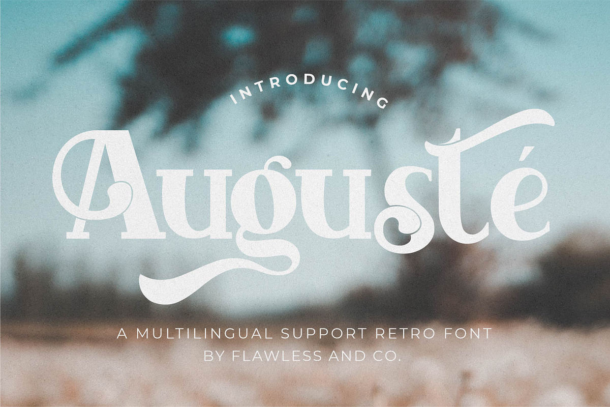 Auguste, a Sans Serif Font by Flawless And Co (Photo 1 of 12)