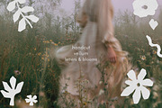 Handcut Vellum Letters & Blooms, an Object Graphic by anastasiia.art (Thumbnail 1 of 5)