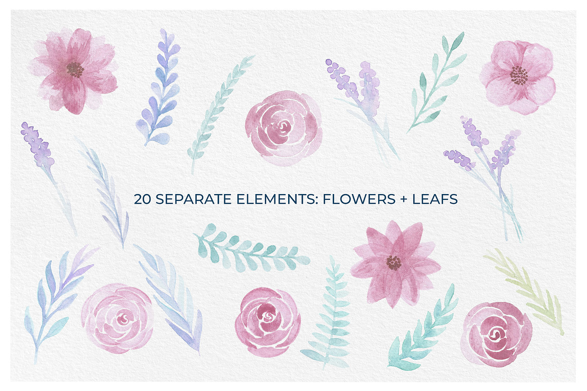 Delicate Watercolor Floral Graphics, an Illustration by RV Zarpelon (Photo 8 of 8)