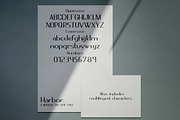 Harbor | A Neat Sans Serif Font, a Sans Serif Font by Emalee Roth (Thumbnail 6 of 6)
