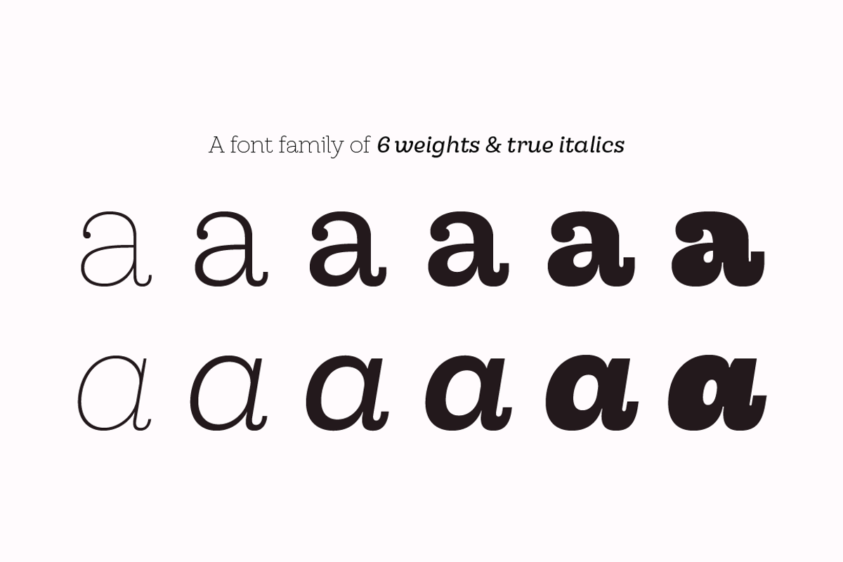 Hernández Niu, a Slab Serif Font by Latinotype (Photo 5 of 17)