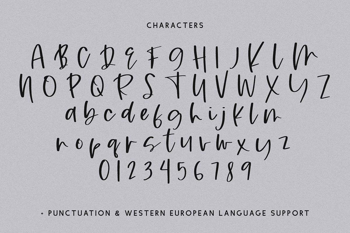 Rusticity Script, a Handwritten Font by Beck McCormick (Photo 10 of 10)