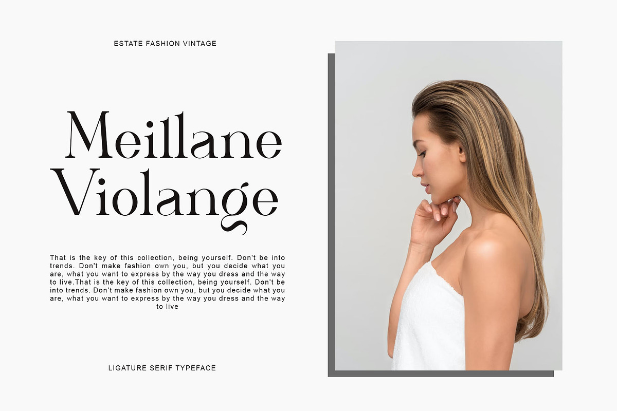 ARISEV Unique Serif Typeface, a Serif Font by yaqublekker (Photo 8 of 10)