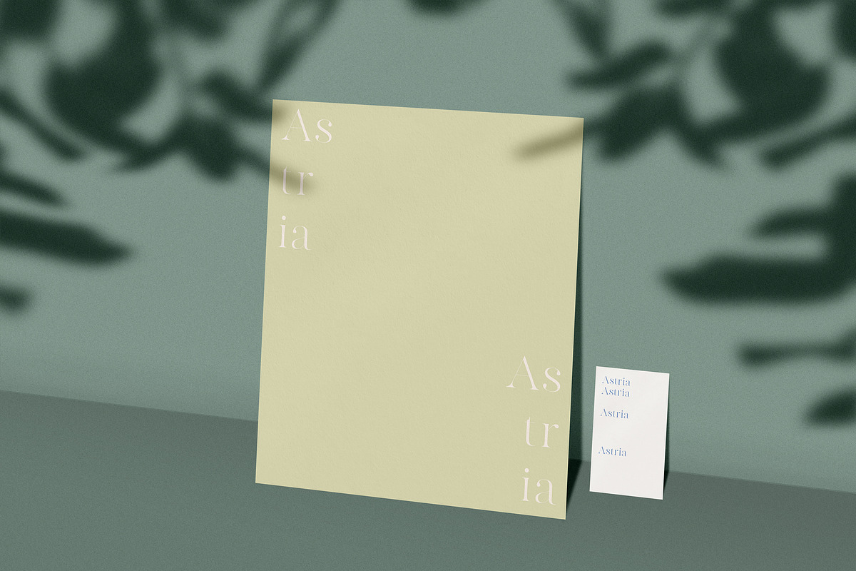 Astria Stationery Mock-Up Kit, a Print Template by Eugene Tantsurin (Photo 10 of 10)
