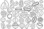 Fruits and Vegetables Clipart Bundle, an Object Graphic by Gulnara Sabirova (Thumbnail 24 of 35)