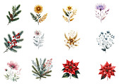 Christmas Wildflowers Clipart, an Illustration by Designworld (Thumbnail 3 of 6)