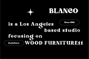Gustafsson, a Serif Font by Portion.Labs (Thumbnail 4 of 11)
