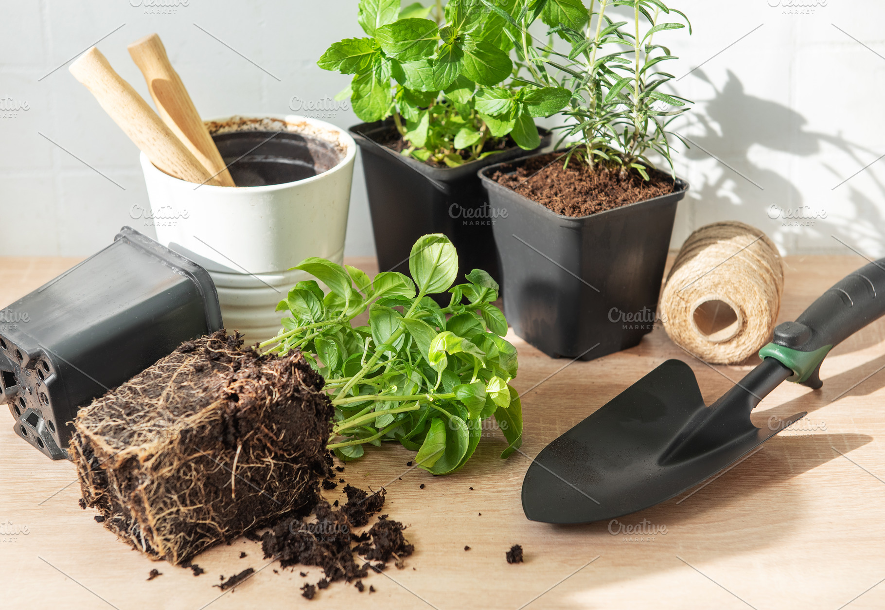 Home gardening concept with fresh herbs and planting tools, a Food & Drink Photo by Olena Rudo