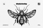 12-in-1 Affinity Brushes Bundle, a Brush Add-On by pixelbuddha.net (Thumbnail 8 of 14)