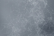 10 Blurry Backgrounds +Plexus Effect, a Texture Graphic by DesignSomething (Thumbnail 3 of 3)