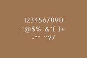 Eleanor Goenka Classic Serif Font, a Serif Font by UICreative (Thumbnail 11 of 13)