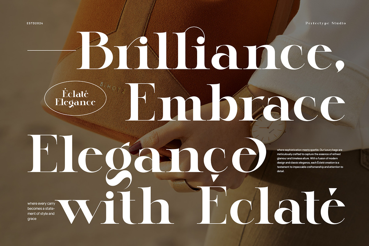 Lugife Elegant Serif, a Serif Font by Perfectype (Photo 3 of 9)