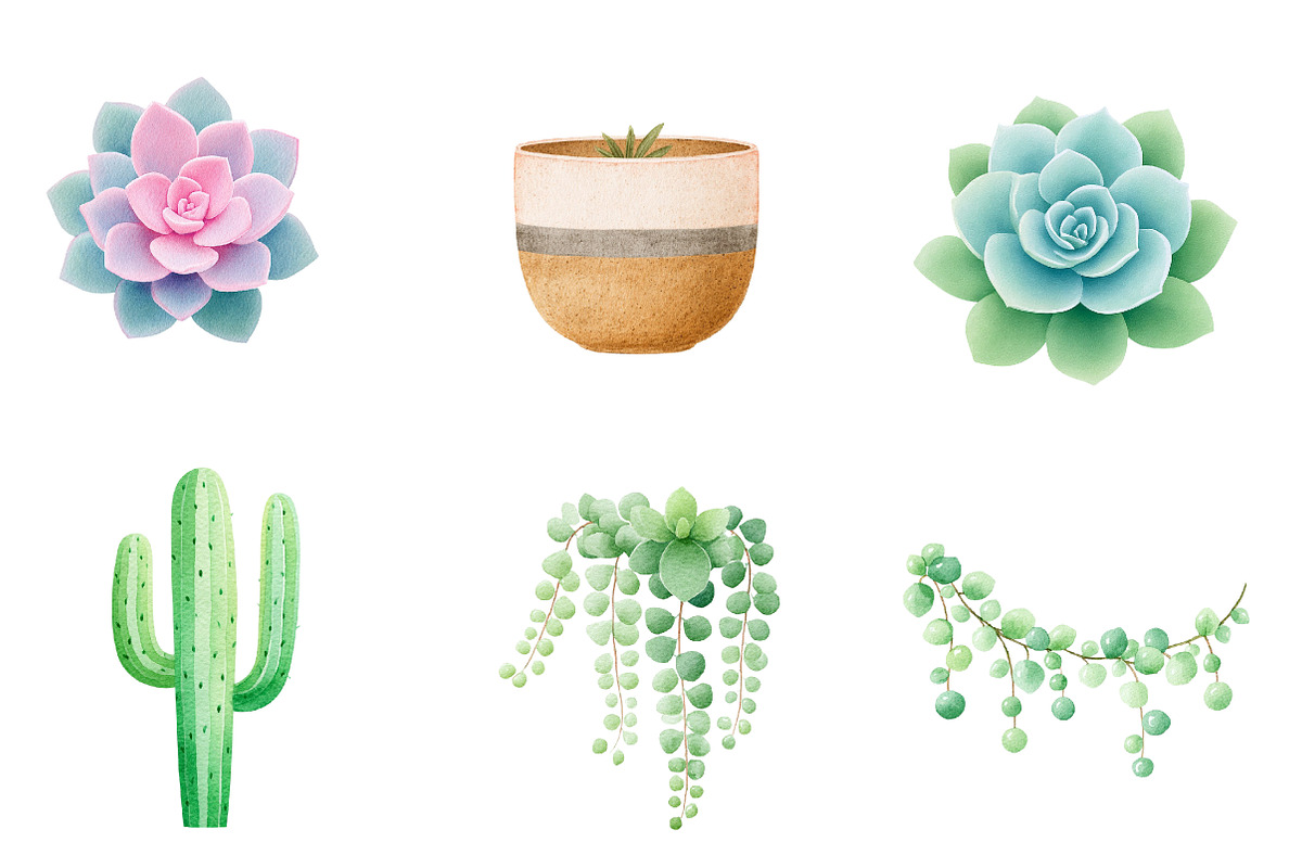 Watercolor Succulent Clipart, an Illustration by CreationArt (Photo 5 of 5)