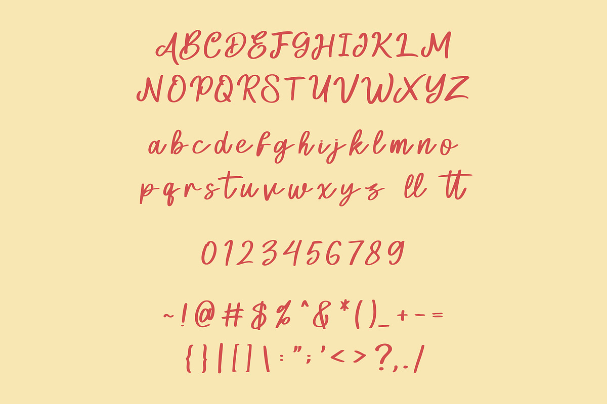 Aeril Script Font, a Script Font by NTC Graphic (Photo 8 of 9)
