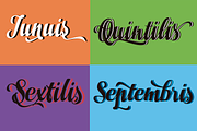 Junius, a Script Font by Eurotypo (Thumbnail 10 of 10)
