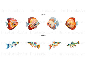 Tropical Fish Clipart, Betta, Guppy