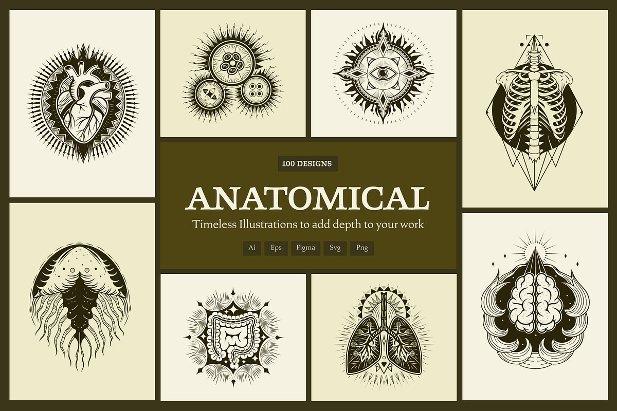 100 Anatomical Illustrations Set, an Education Illustration by Prosymbols (Photo 1 of 11)