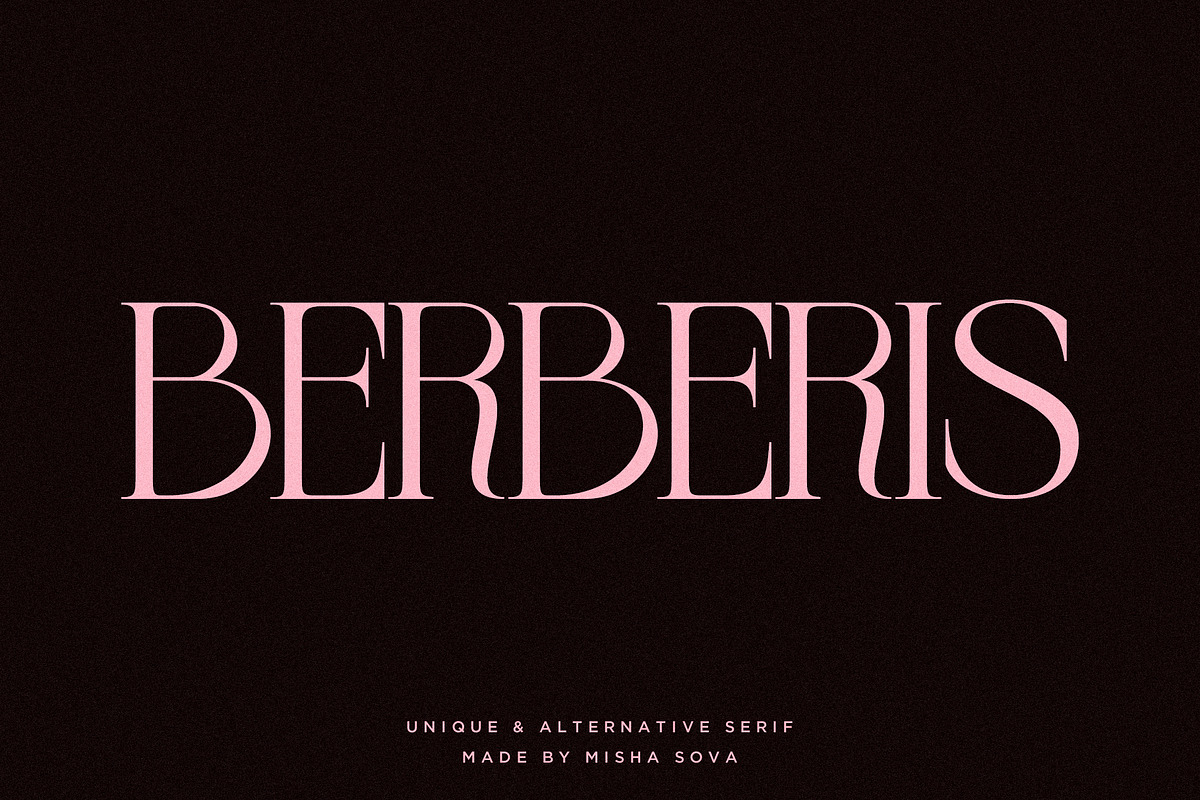 BERBERIS - Display Unique Serif, a Serif Font by Misha Sova (Photo 1 of 14)