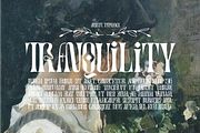 Artistic Condensed Font, a Serif Font by 177Studio (Thumbnail 5 of 8)
