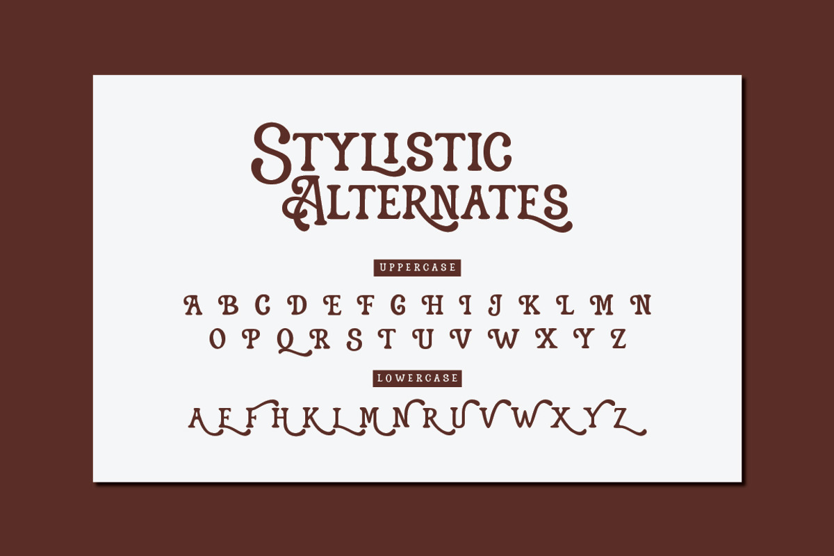 Alendro - Vintage Display Font, a Serif Font by Typebae (Photo 7 of 8)