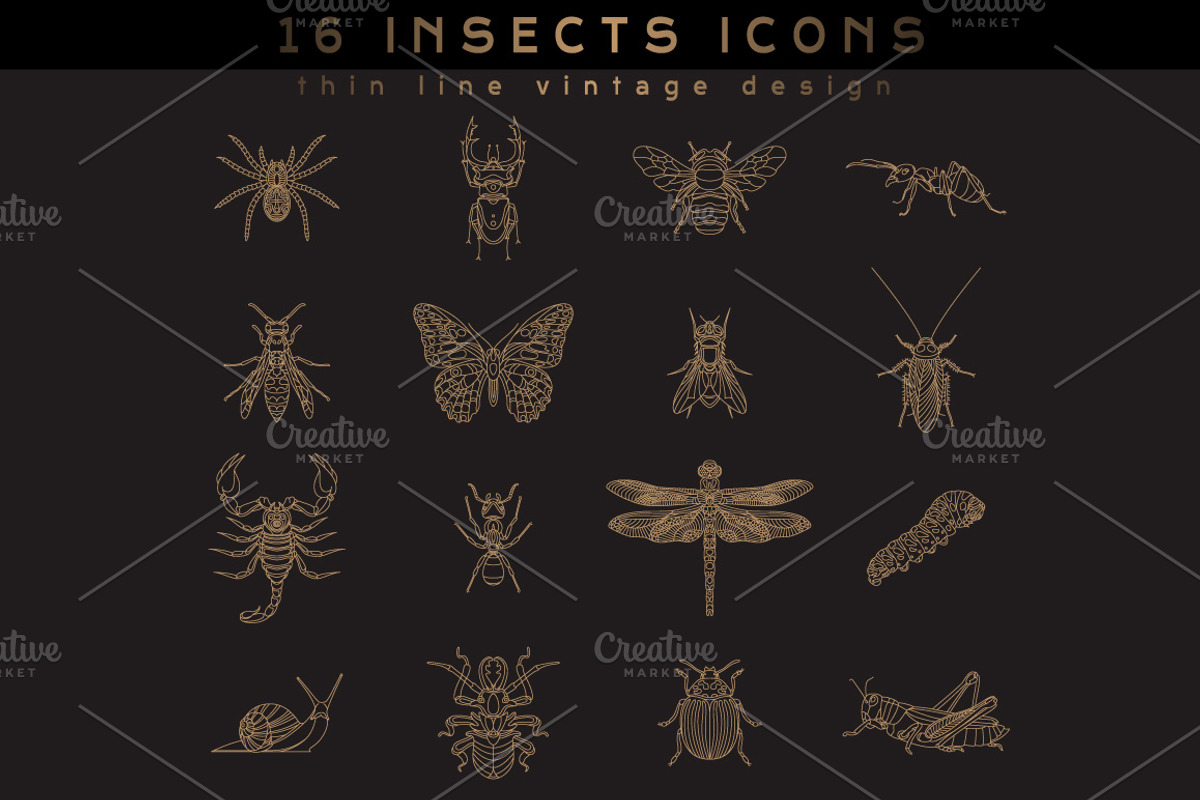 16 Insect Icons