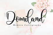 Domiland Script, a Script Font by Nissa Studio (Thumbnail 1 of 12)