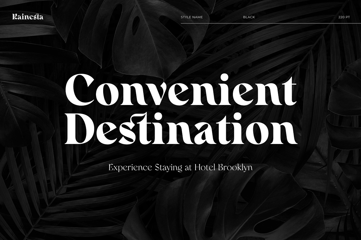 Rainesta Font, a Serif Font by Digitype Studio (Photo 2 of 10)