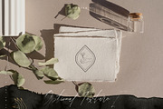 NATURATA ALCHEMIA mystical astrology, a Decorative Illustration by ana & yvy (Thumbnail 33 of 46)