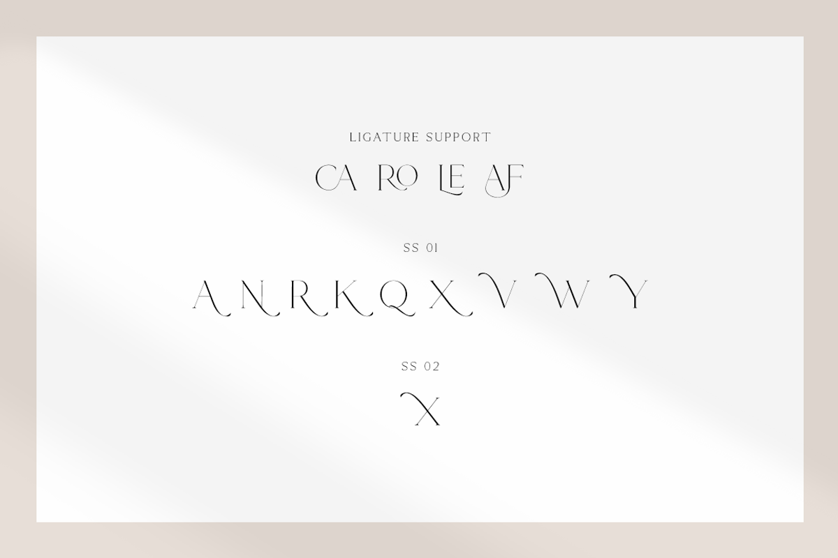 Rotweiler - Fashion Font, a Serif Font by RockboyStd (Photo 11 of 12)
