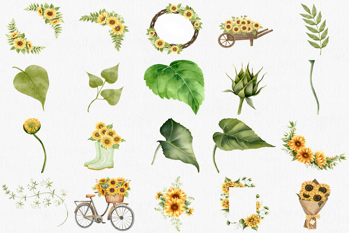 Watercolor Sunflower Clipart, 44 PNG, a Decorative Illustration by CropUp Creative (Photo 3 of 4)