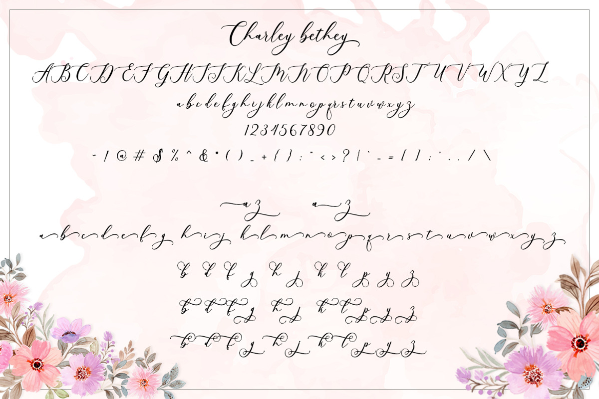 Charlie bethey, a Script Font by Amarlettering (Photo 5 of 7)