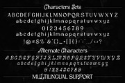 VT Salemore Longest Font Combination, a Serif Font by ViactionType (Thumbnail 6 of 13)