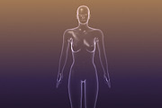 Male And Female Anatomy X-ray Bodies, a Characters & Person 3D Model by VisualCG (Thumbnail 8 of 15)