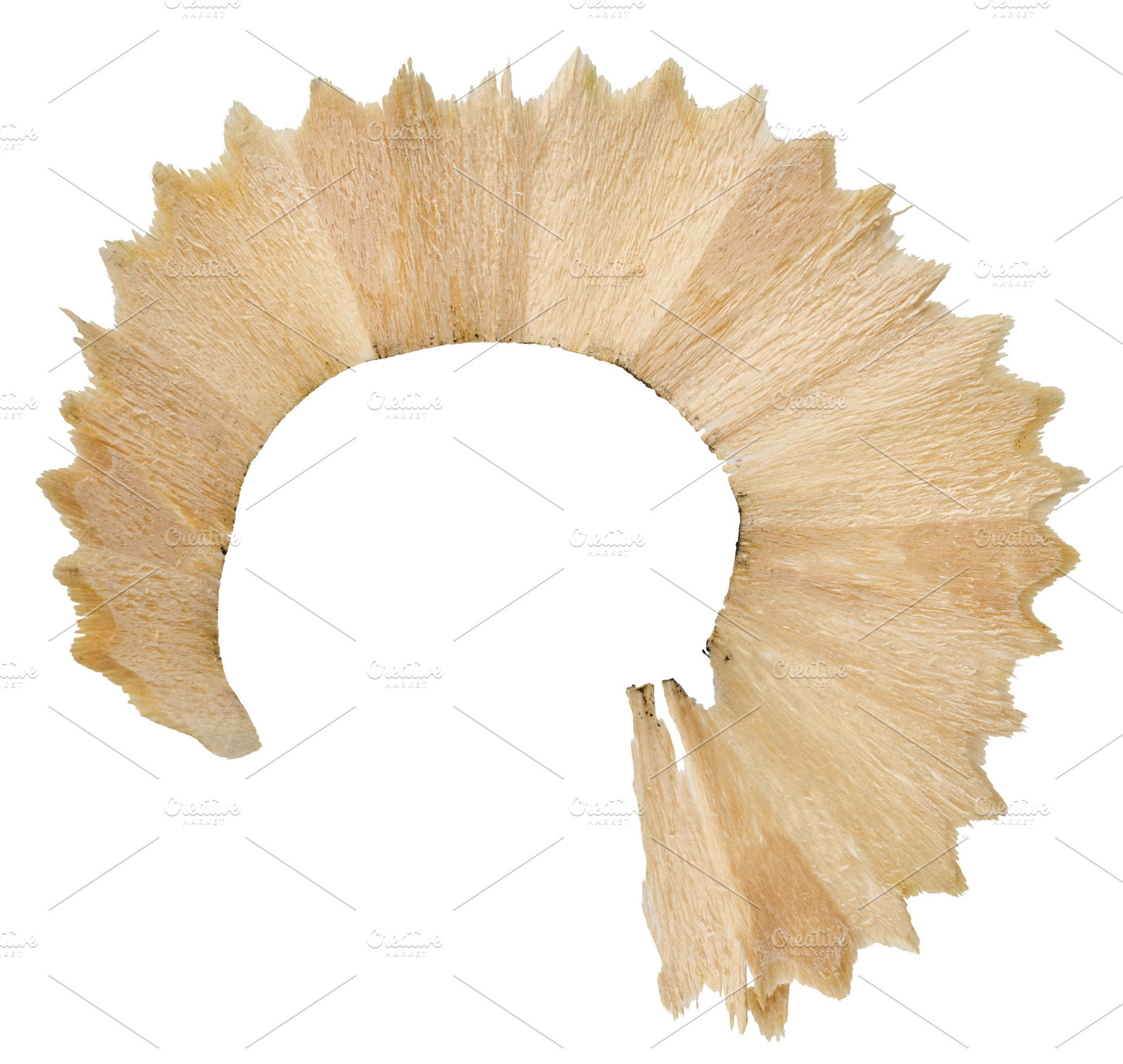 Wood shavings from a white pencil on an isolated background, a School & Education Photo by ndanko