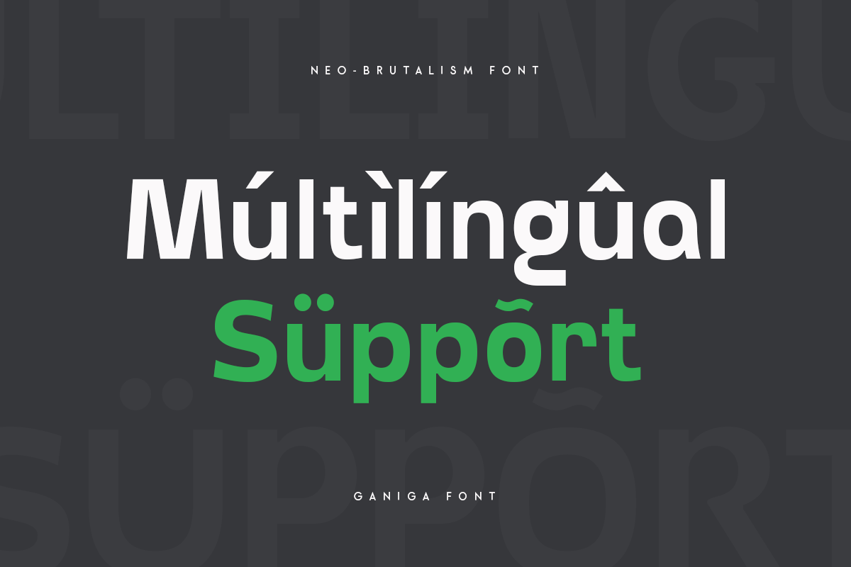 Ganiga - Neo Brutalism Font preview 5