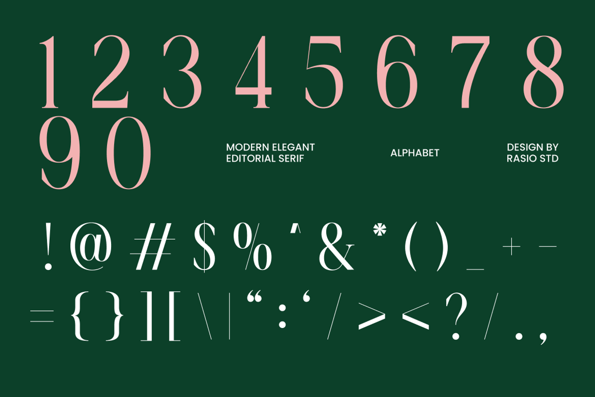 La Carena Modern Elegant Serif Font, a Serif Font by Rasio Studio (Photo 3 of 9)