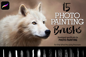 15 Photo Painting Brushes