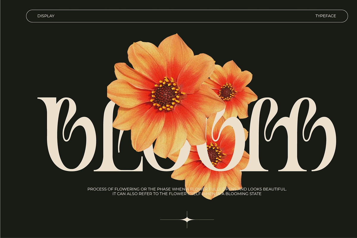Chillway - Stylish Serif Font, a Font by Hanstype.com (Photo 5 of 11)