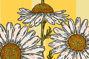 wild daisy botanical stripe, a Pattern Graphic by NayaChu (Thumbnail 5 of 10)