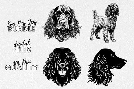Boykin Spaniel SVG - Dog Clipart