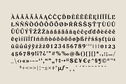 Creolia Typeface, a Serif Font by Dopestype (Thumbnail 11 of 12)