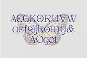 Armeston - Modern Serif, a Serif Font by tebaltipislab (Thumbnail 8 of 15)